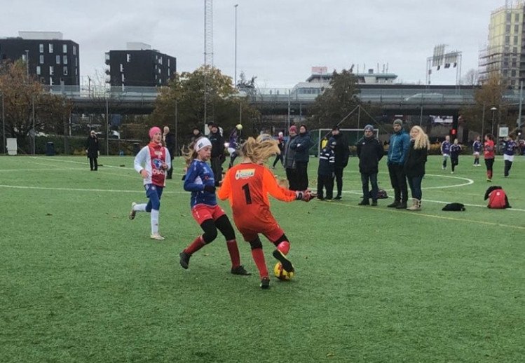 Muselunden var også kamparena.